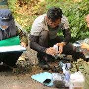 Ungkap Potensi Kaneka Ragaman Hayati Kawasan Hutan Gunung Arjuno, Tim Peneliti Temukan 147 Spesies Tumbuhan dan 43 Dpeies Tumbuhan Berpotensi Obat, 4 Satwa Endemik di Lindungi