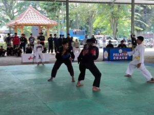 Rektor Dorong Prestasi Peserta Lewat Beasiswa pada Lomba Pencak Silat Dies Natalis