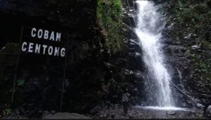 Coban Centong Prigen, Air Terjun dan Canyoneering di Welirang
